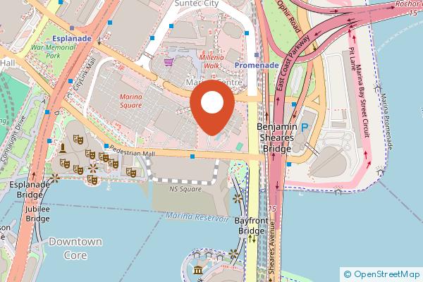 The Ritz-Carlton, Millenia Singapore on the map
