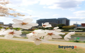 Hotel Okura Kyoto