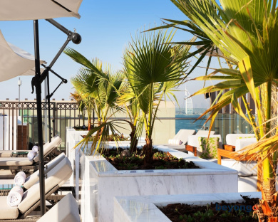 Adagio Premium The Palm 17