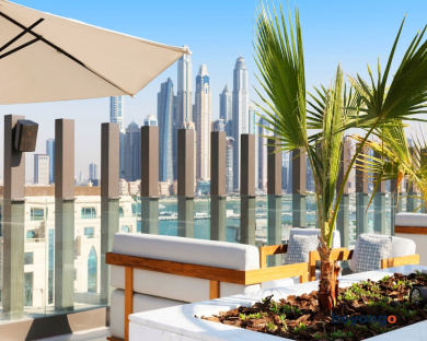 Adagio Premium The Palm 18