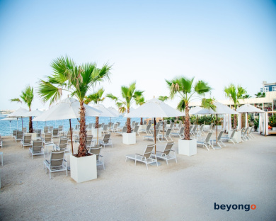Adagio Premium The Palm 35