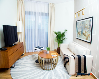 Adagio Premium The Palm 67