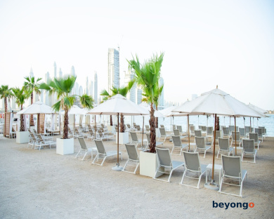 Adagio Premium The Palm 89