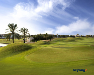 Address Montgomerie 31