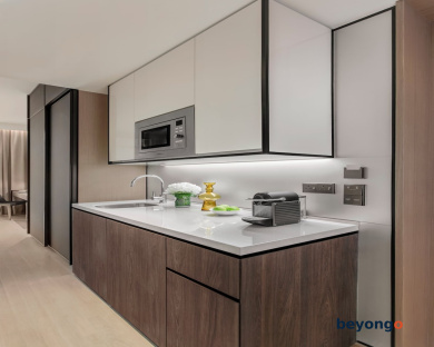 Ascott Orchard Singapore 16