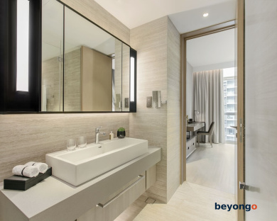 Ascott Orchard Singapore 18