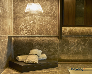 Ascott Orchard Singapore 21