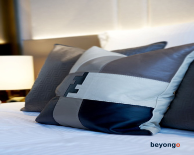 Ascott Orchard Singapore 29