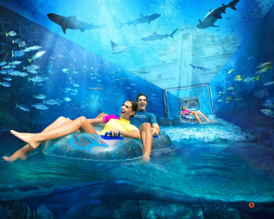 Atlantis, The Palm 18