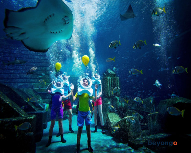Atlantis, The Palm 20