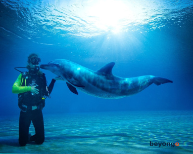 Atlantis, The Palm 21