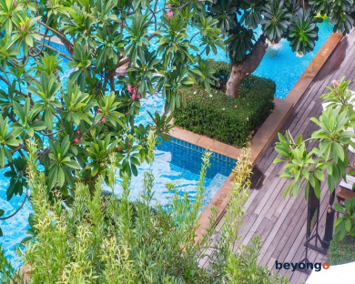Avalon Beach Resort 113