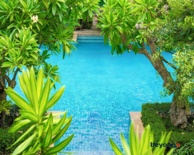 Avalon Beach Resort 115