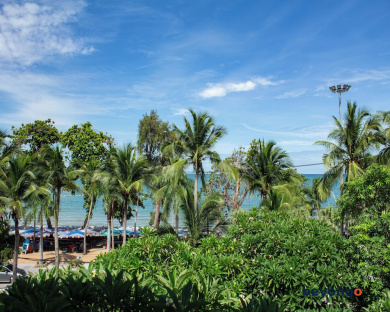 Avalon Beach Resort 26