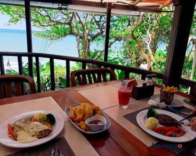 Birds and Bees Resort 342