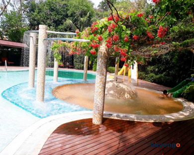 Birds and Bees Resort 349