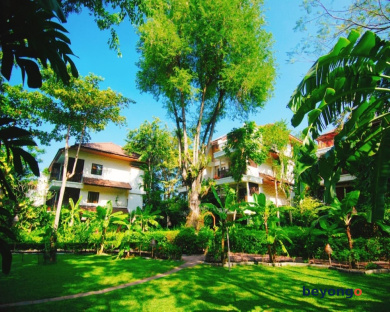 Birds and Bees Resort 353