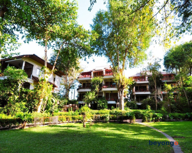 Birds and Bees Resort 359