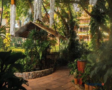 Birds and Bees Resort 360