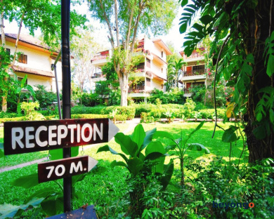 Birds and Bees Resort 380