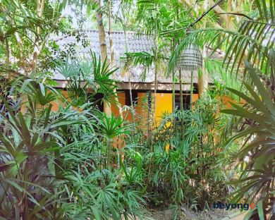 Birds and Bees Resort 382