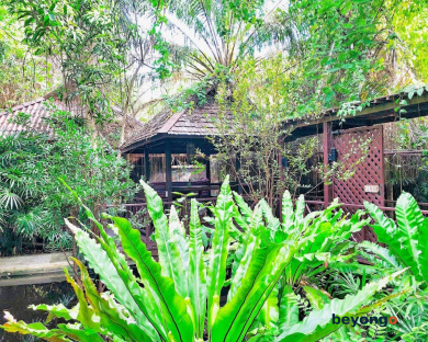 Birds and Bees Resort 386