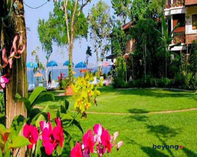 Birds and Bees Resort 410