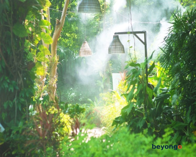 Birds and Bees Resort 411