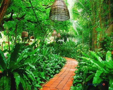 Birds and Bees Resort 412