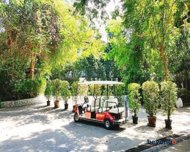 Birds and Bees Resort 421