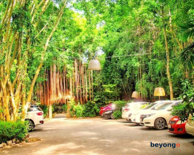 Birds and Bees Resort 422