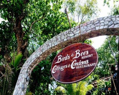 Birds and Bees Resort 450