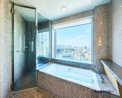 Cerulean Tower Tokyu Hotel 101