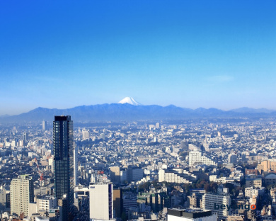 Cerulean Tower Tokyu Hotel 130