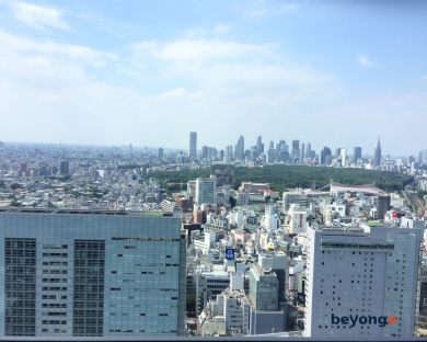 Cerulean Tower Tokyu Hotel 131