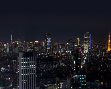 Cerulean Tower Tokyu Hotel 132