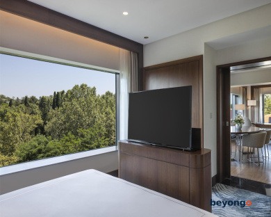 Conrad Istanbul Bosphorus 63