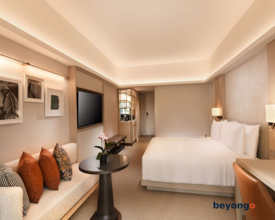 Conrad Singapore Orchard 10