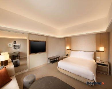 Conrad Singapore Orchard 17
