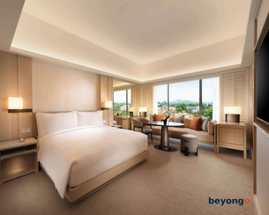 Conrad Singapore Orchard 20