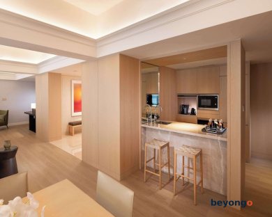 Conrad Singapore Orchard 41