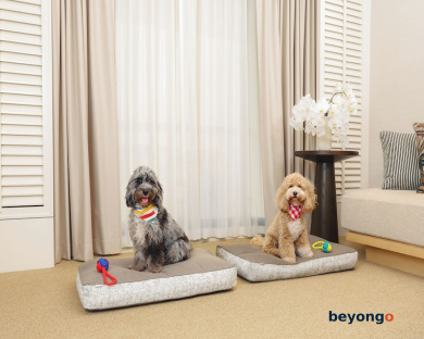 Conrad Singapore Orchard 60