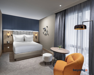 Crowne Plaza Istanbul Ortakoy Bosphorus by IHG 16