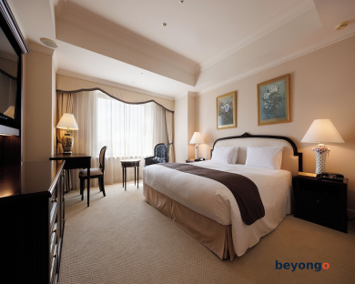 Daiichi Hotel Tokyo 17