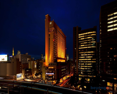 Daiichi Hotel Tokyo 3