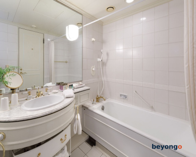 Daiichi Hotel Tokyo 34