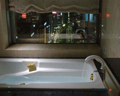 Daiichi Hotel Tokyo 42