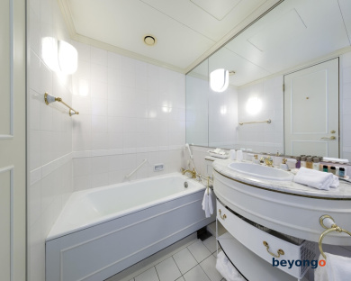 Daiichi Hotel Tokyo 46