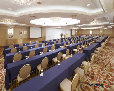 Daiichi Hotel Tokyo 71