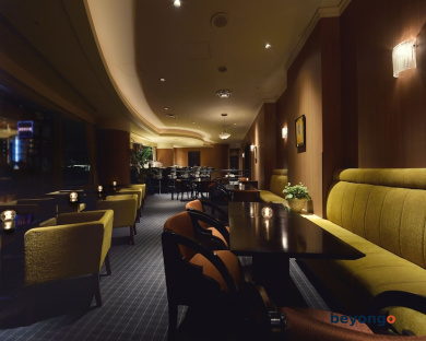 Daiichi Hotel Tokyo 81